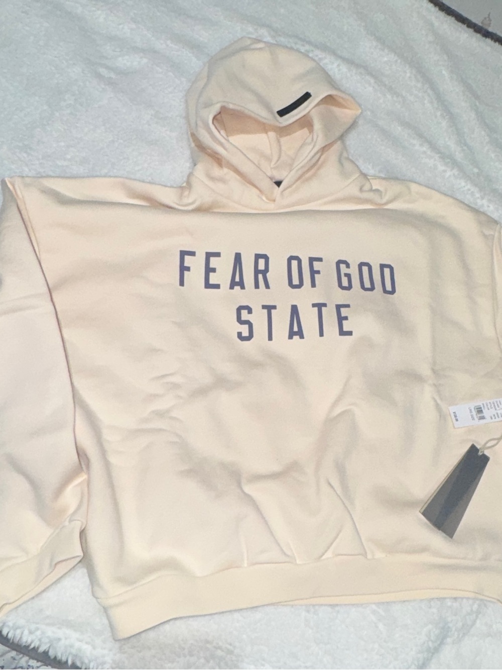 Essentials Shell Color Hoodie with Gray Lettering - Picture 6 of 7